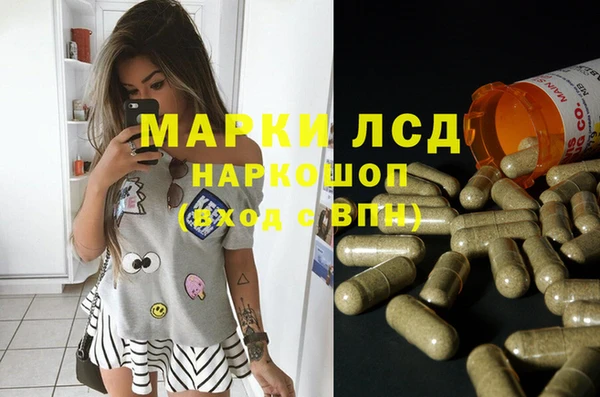 spice Арсеньев