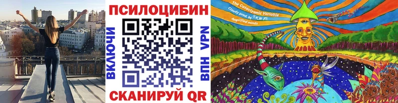 Псилоцибиновые грибы прущие грибы  Заводоуковск 