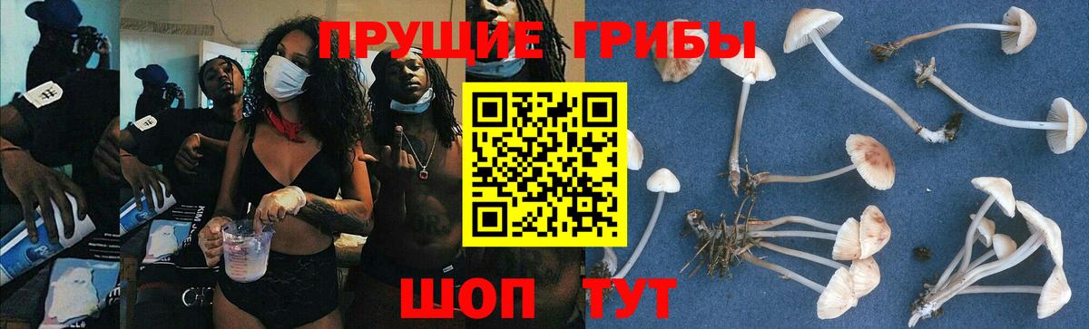 Псилоцибиновые грибы Magic Shrooms  Вход с VPN  Заводоуковск 