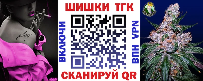 где купить наркоту  Заводоуковск  Конопля ГИДРОПОН 